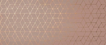 Декор Mek Rose Hexagon 50x120